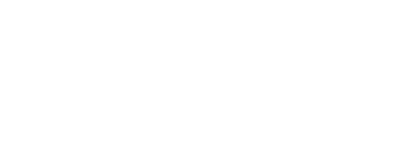 ecomob expo village